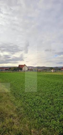 Teren intravilan de 1000mp in Chilieni, zona rezidentiala noua - 1