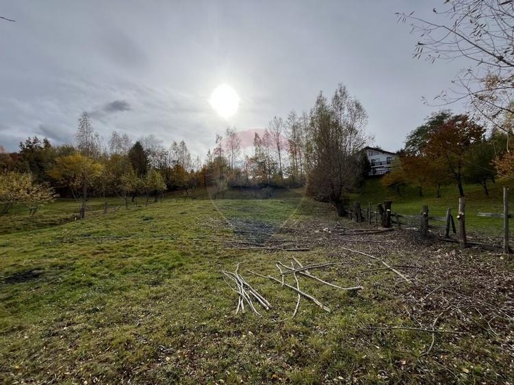 Teren de Vis in Bran - 1000mp Plat, Liniste Absoluta si Aer Curat - 10