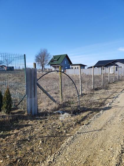 Teren intravilan Paun - 6