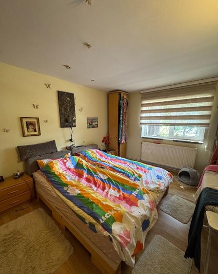 Vand vila in Roman zona buna - 4