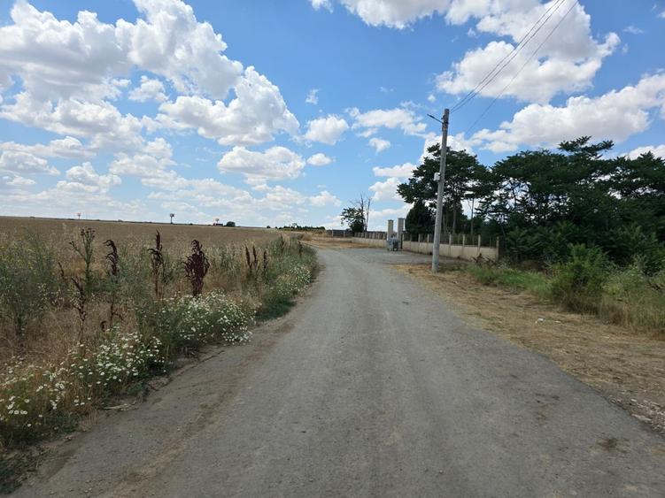 Teren Construcții intravilan de 14000 mp, în Lazu