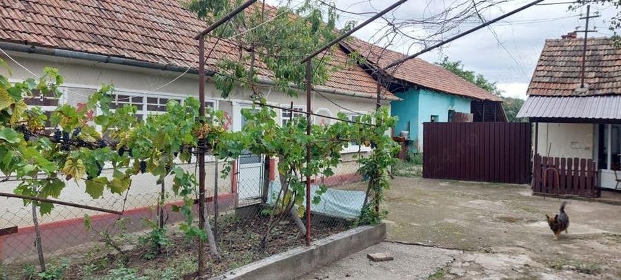 Casă cu 4 camere în Cohani