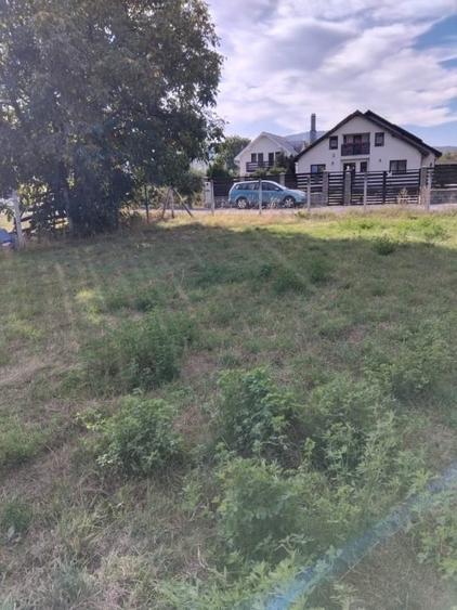 Teren Construcții intravilan de 2600 mp, în Livezile
