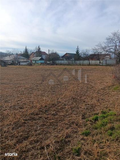 Teren de 3500 mp, în Bârnova