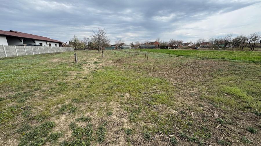 COMISION 0 | Teren intravilan | 550 mp | Urseni - 2