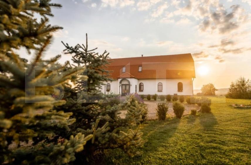 Conac de vanzare 7 camere cu bai proprii, crama, ciubar si potential - 2