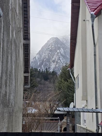 Studio parter 50mp cu terasa 22mp  Busteni Zamora DIRECT PROPRIETAR - 11