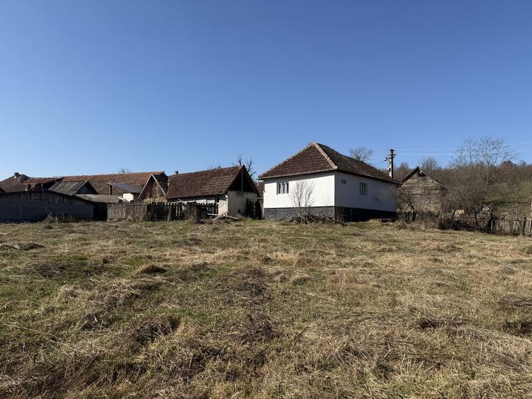 Vand casa in Dumbravita Arad - 2