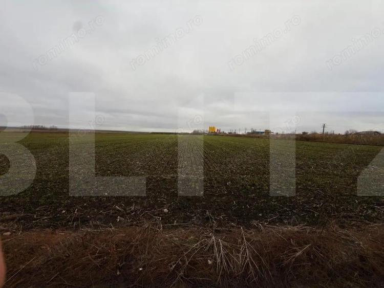 Teren intravilan Catamarasti-Deal 5000mp - 1