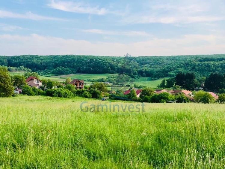 Teren mixt de vanzare in Hidiselu de Jos, Bihor - 4