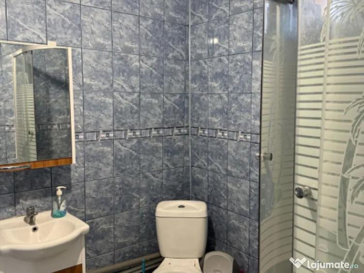 Casa P+1, 140 mp utili, zona Brestei/Raului, COMISION ZERO - 13