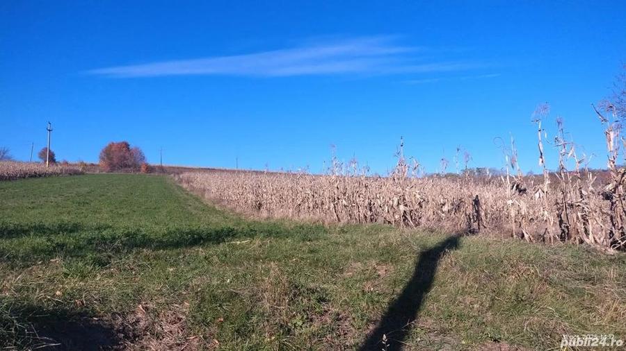 Vand teren de casa, intravilan, utilitati la poarta - 1