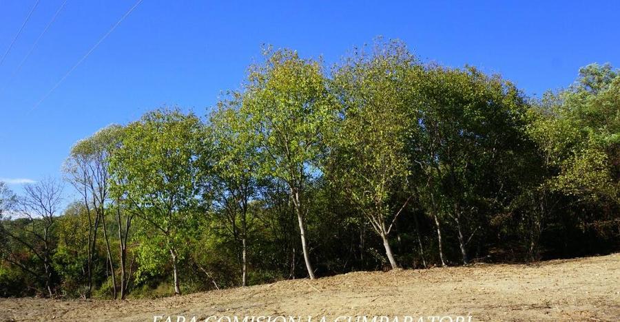 TEREN 1522 MP, LA 10 MINUTE DE ORAS - 5