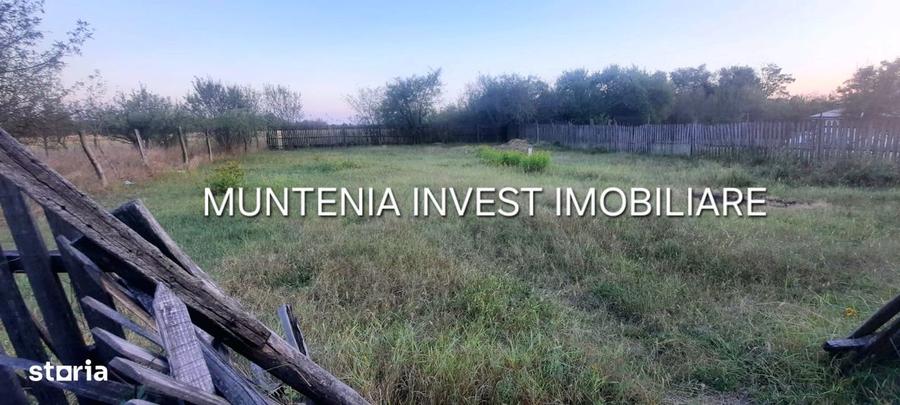 Teren 6000 mp. intravilan Smeura, str. Olteni - 2
