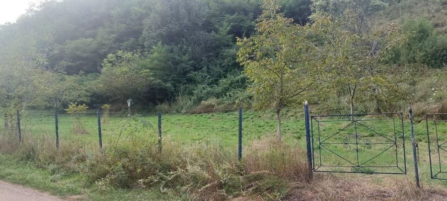 Vand teren intravilan Sat Voia Com. Balsa 7000mp - 1