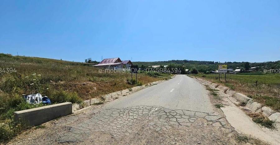 Teren 2.340mp, Dancas Miroslava,