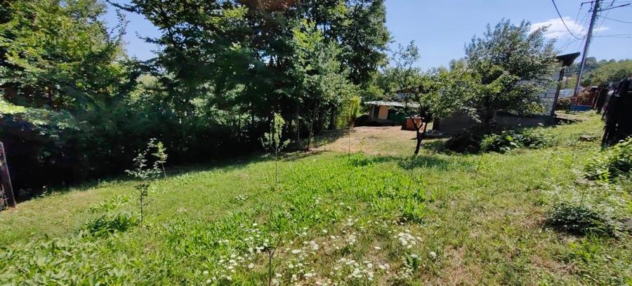 Teren 532 MP si Anexe de Vanzare * Poiana Campina* - 10