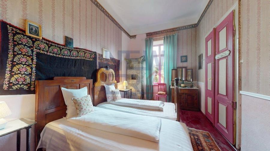 CONACUL GEORGE STEPHANESCU - 5