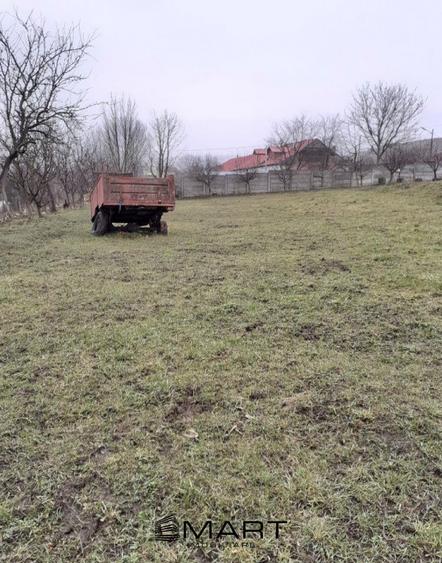 Hala in Sura Mare - 1