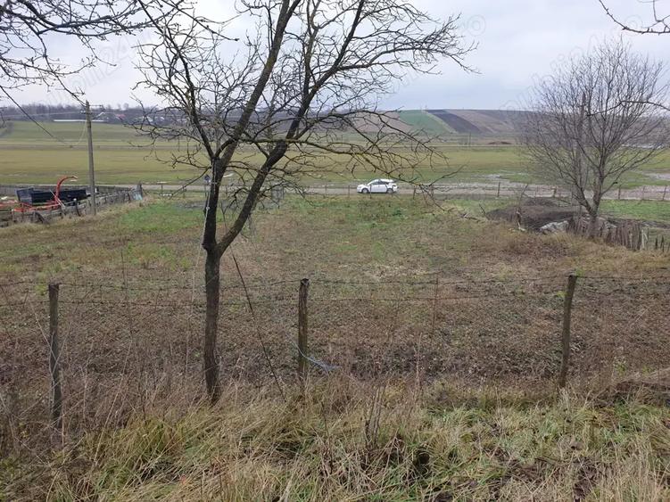 Casa batraneasca de vanzare - 7
