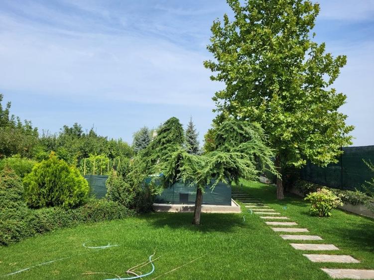 Casă individuală cu 6 camere cu Piscina în Snagov