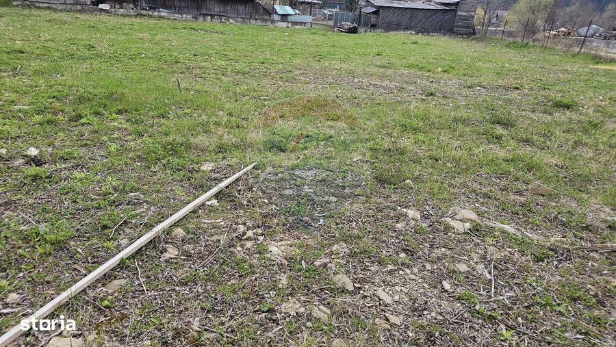 Teren 1,520mp Hangu / Strada Principala - 8