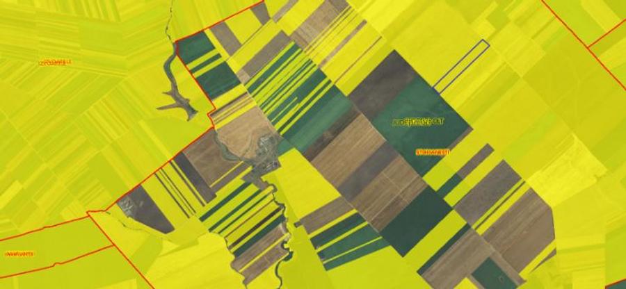 Teren arabil 28ha Stoicanesti Olt - 2