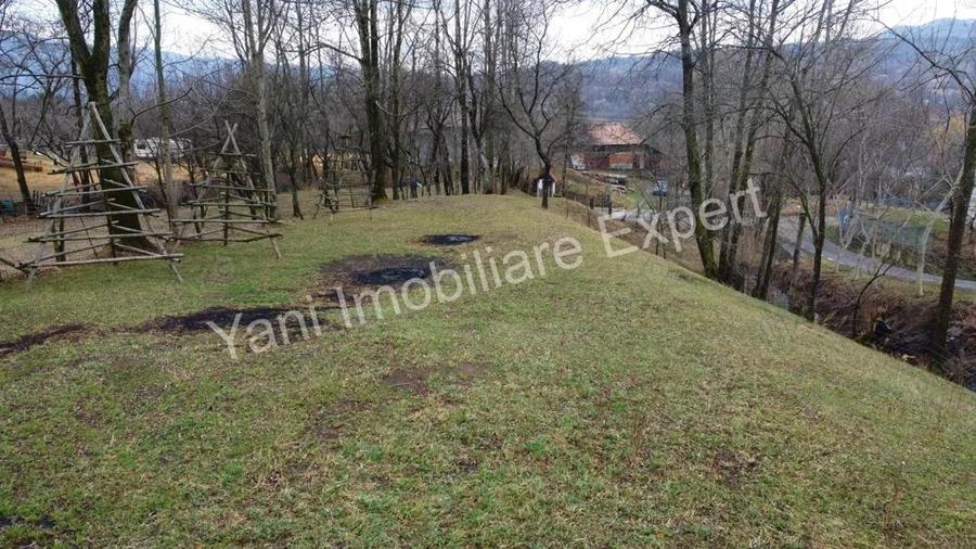 Teren de vanzare in comuna Arefu, jude? Arge?. - 6