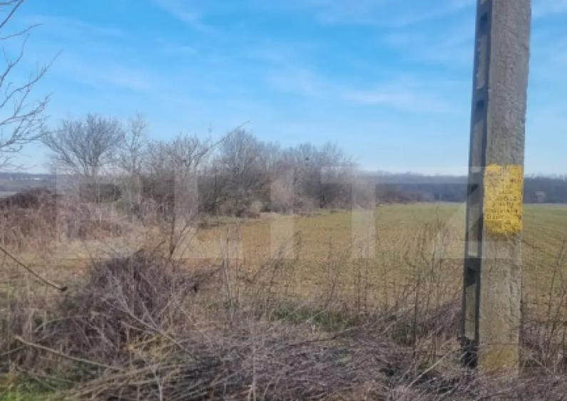 TEREN INTRAVILAN POTENTIAL INVESTITIE - 1