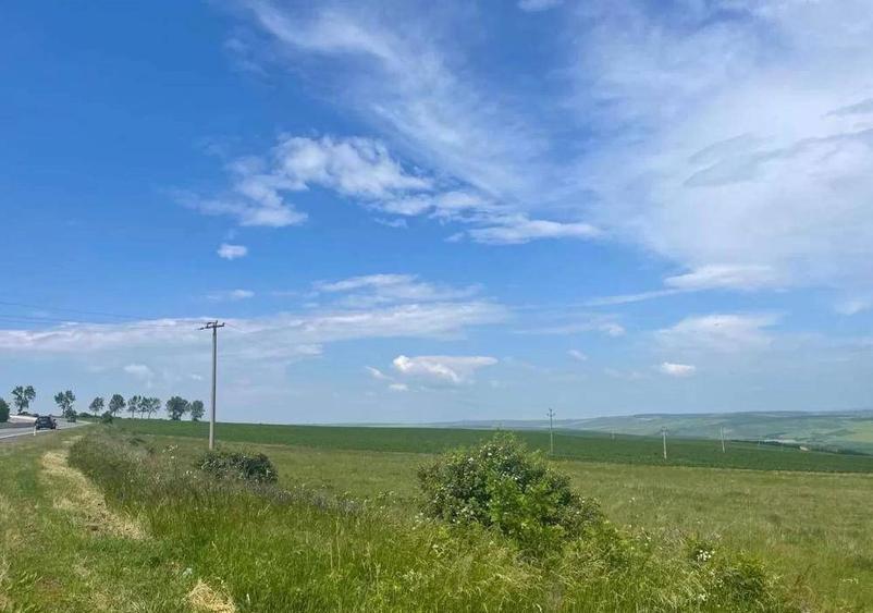 10000 mp teren de vanzare tureni 10 euro mp - 2