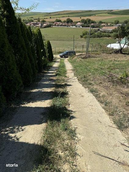 Loc de casa zona linistita - 4