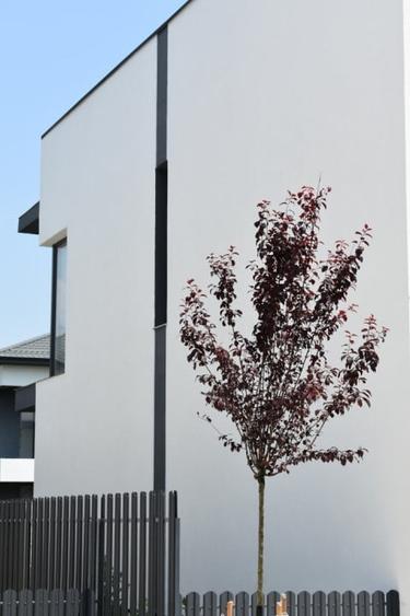 Casa Verde Individuala | 4 Camere | Teren 320 mp & 3 Locuri Parcare | Tunari - 6