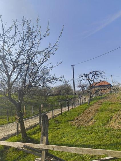 Casa de caramida + teren, sat Bratesti comuna Albesti la 25 de minute de Curtea de Arges! - 6