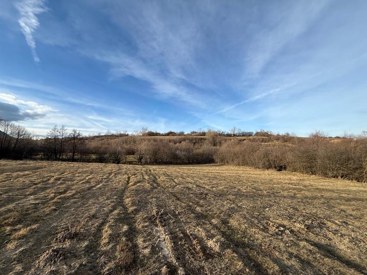 Teren intravilan 500 mp sau 1000 mp în Zarnesti –Tohanita cu parau(izvor) - 3