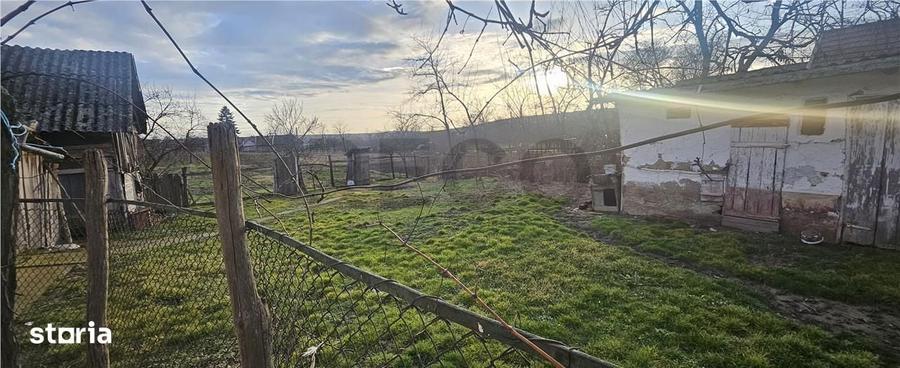RECO. Teren intravilan de vanzare in Cetariu - 5