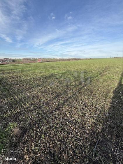 Aroneanu TEREN 14400mp intravilan cu utilitati zona construibila - 1