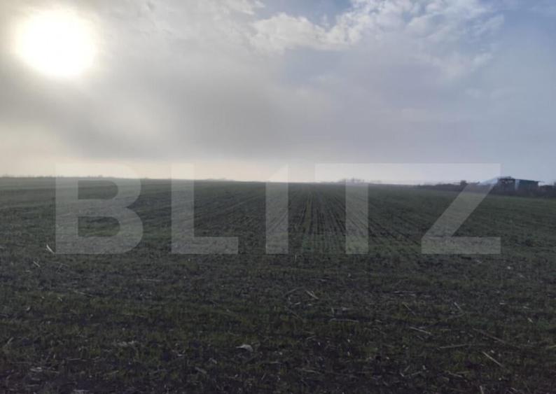 Teren 8400 mp extravilan, Miroslava-Vorovesti - 3