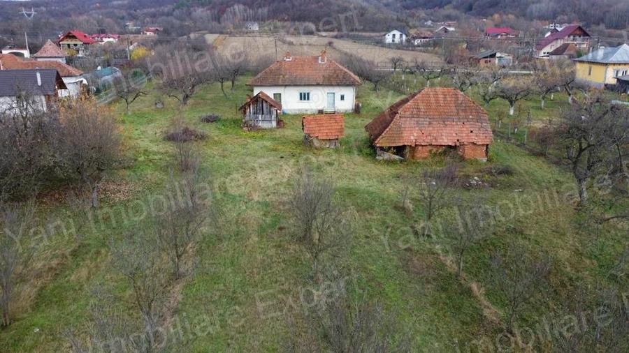 Teren 12.486 mp de vanzare in comuna Cepari, jude? Arge?. - 3