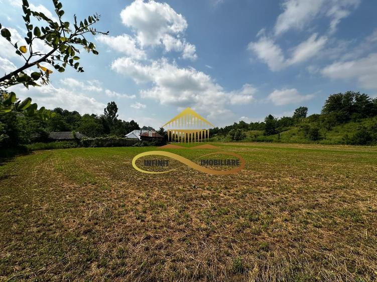 Casa batraneasca cu 2ha de teren de vanzare in sat Balaia / Bacau - 18