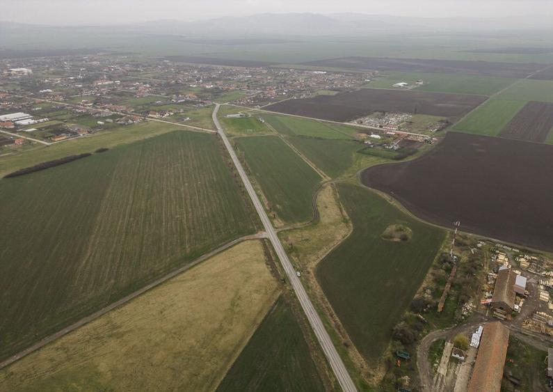 Teren 76.000mp intre Santana ?i Caporal Alexa - 4