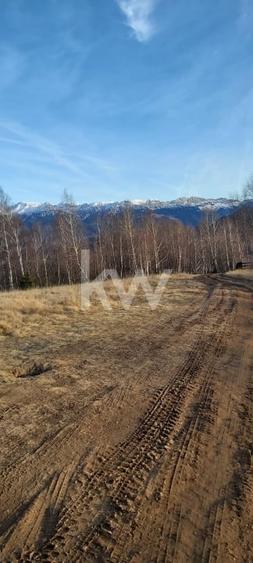 Teren de vanzare Sirnea- Comision 0% - 2