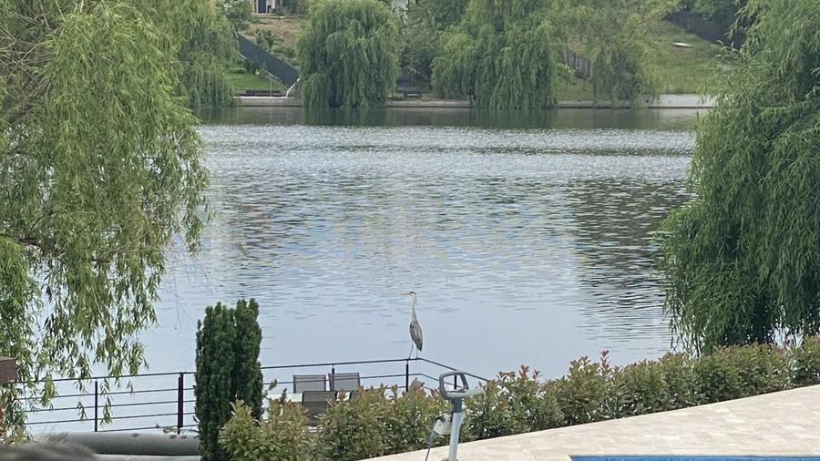 Vila amplasata pe malul lacului - 19