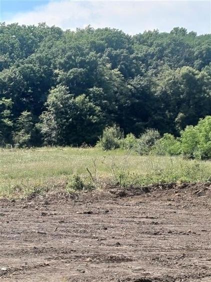 Loturi de 1000 mp de vanzare la Sura Mare - 6