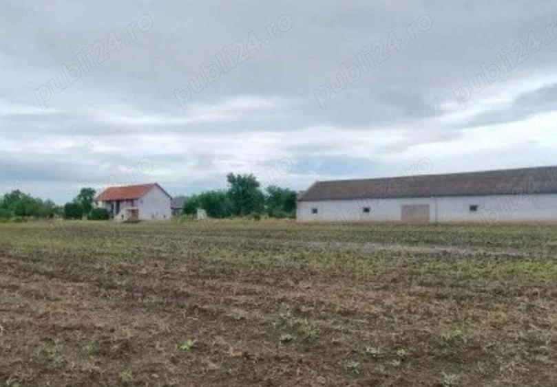 Casa Ru?eni , hala industriala, balta de pescuit , 1,5 ha teren - 1