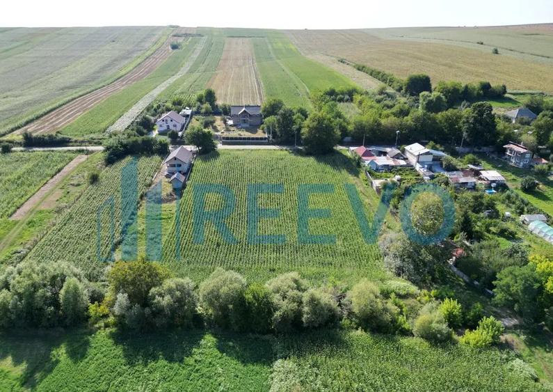 Teren intravilan de vanzare, Sat Bogdan?ti, Com. Traian - 4