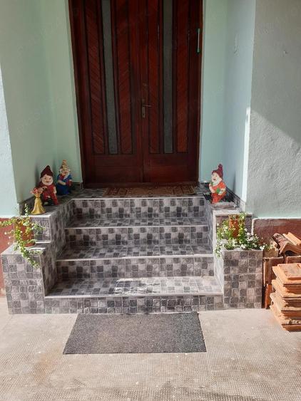 Casa Faget Timis - 10