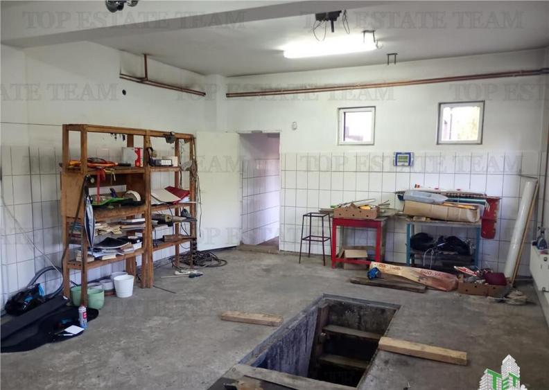 Vila deosebita, Brancoveanu, Luica, curte generoasa. Merita - 2