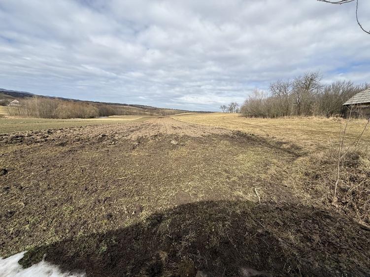 Teren intravilan | 16 ari | Horodnic de Jos – zona Călugărița - 5