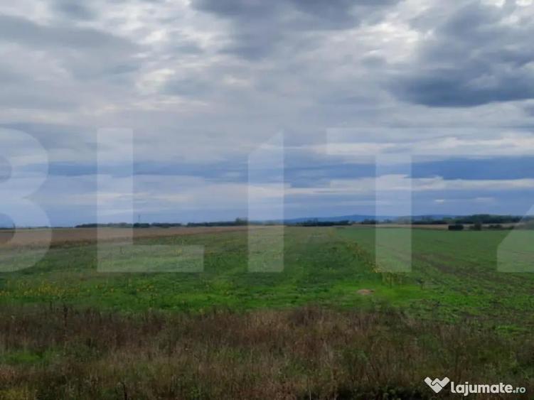 Teren extravilan de vanzare, 21.750 mp, Satu Mare - 1