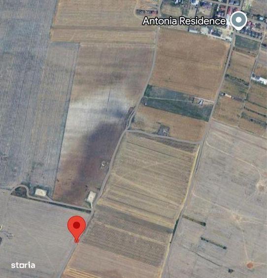 Teren 1782mp Intravilan Cernica sat Balaceanca - 2